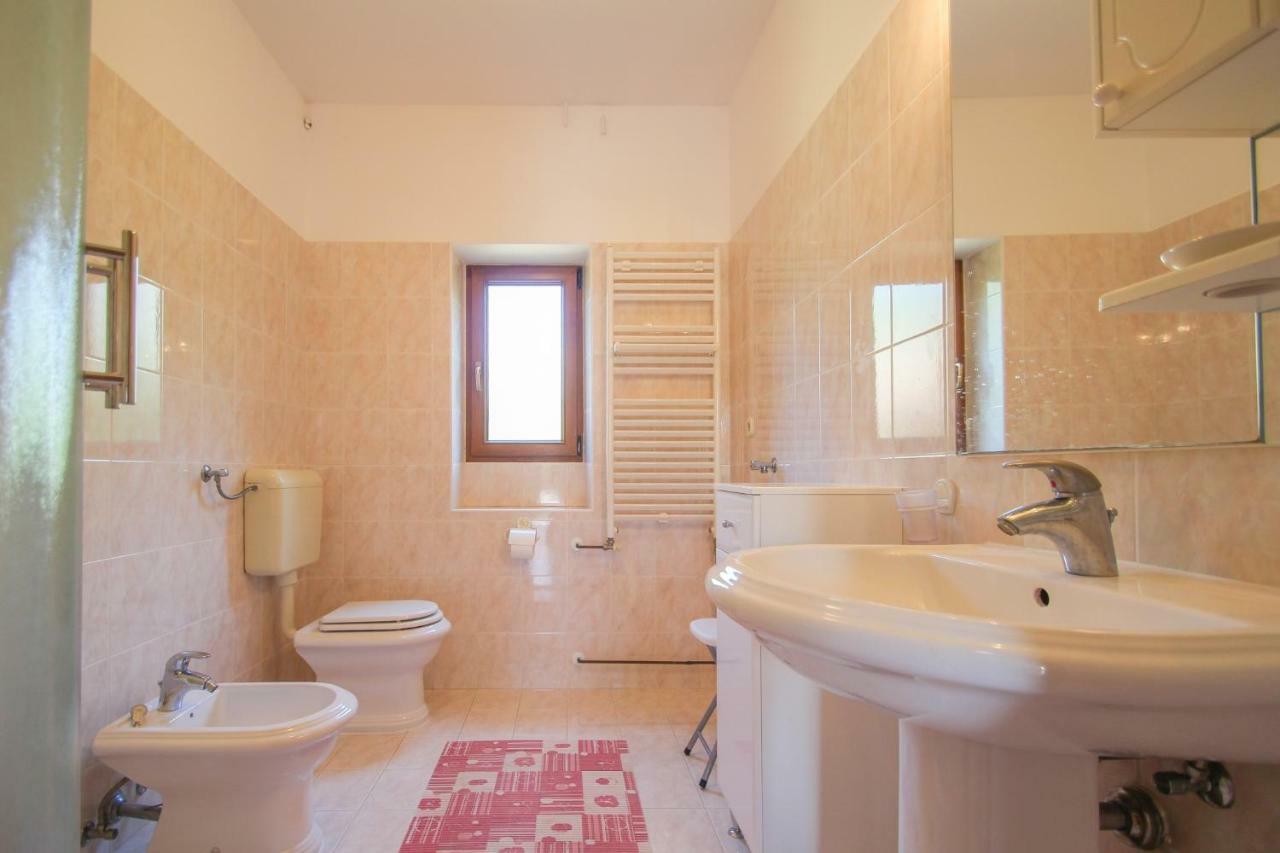 Alenka Orange Apartment Novigrad  ภายนอก รูปภาพ
