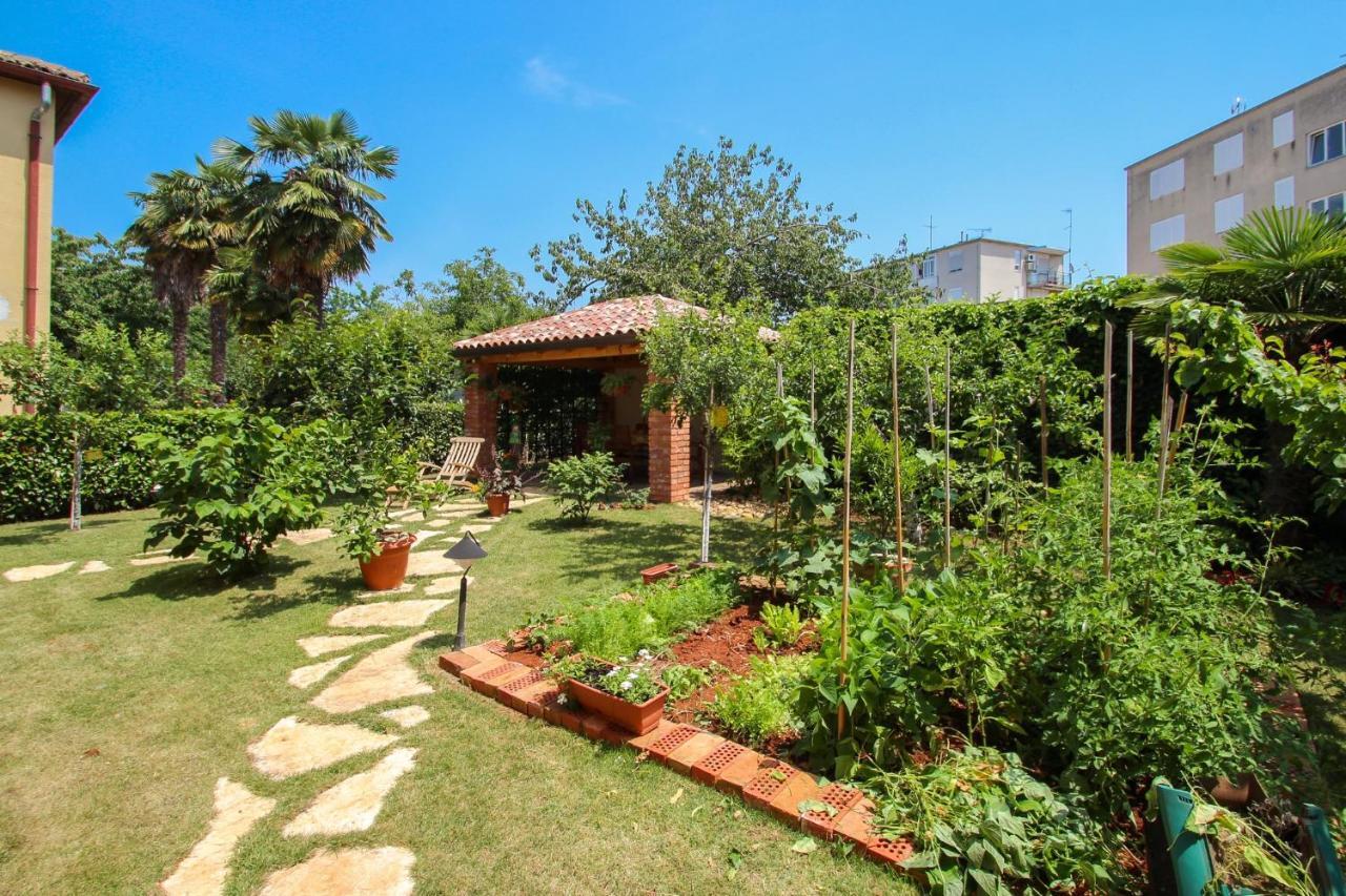 Alenka Orange Apartment Novigrad  ภายนอก รูปภาพ
